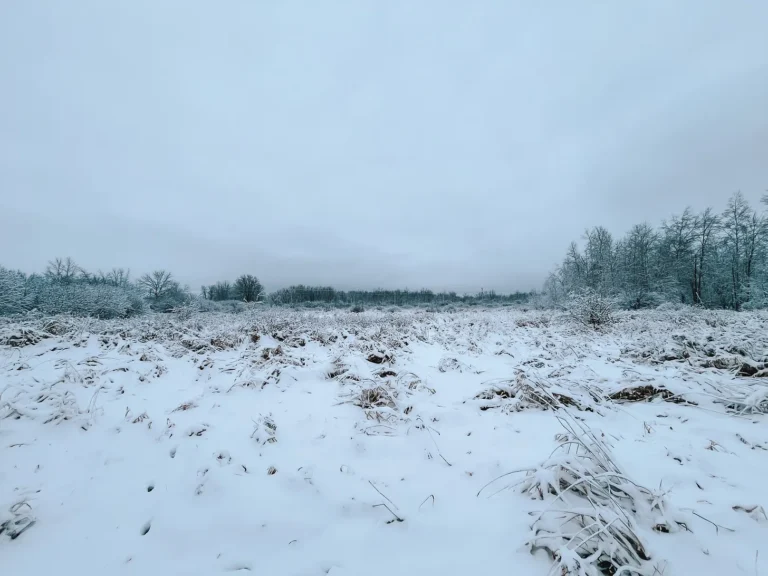 The snow of early winter: Ten photos to celebrate how beautiful winter can be