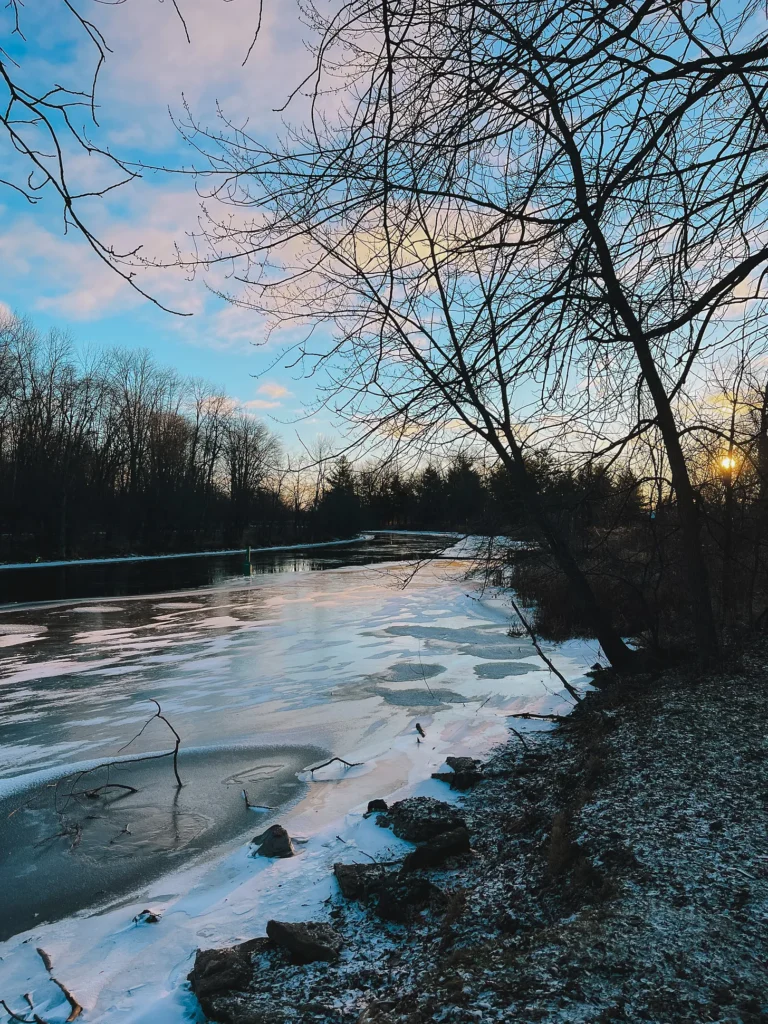 The bleak midwinter: Small joys in the silence