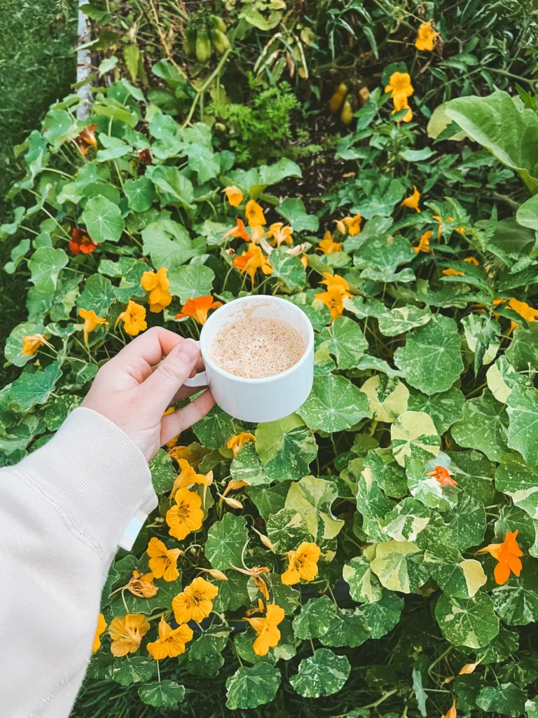 Planning the garden for 2024: Trying to embrace my more chaotic side