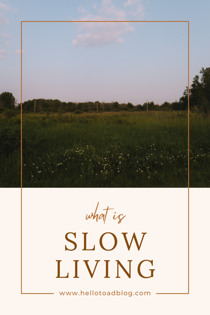 A graphic with a calm photo of a meadow at sunset. The text on the image reads "What is slow living?".