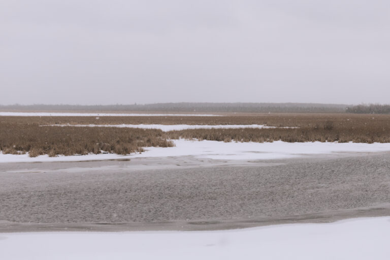 Putting up with the snow.