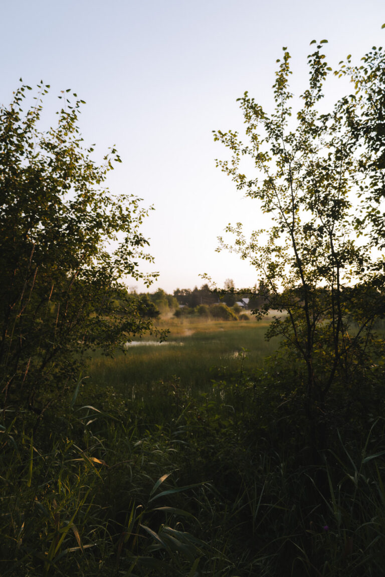 A bit of a fairytale.
